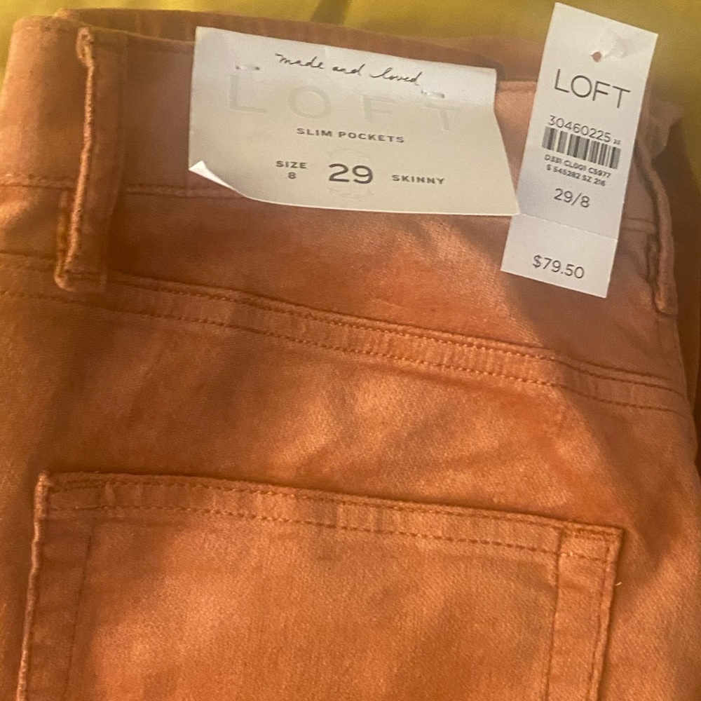 Brand new Loft Velvet pants!